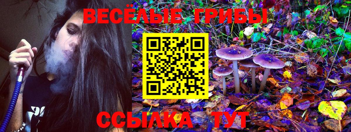 Галлюциногенные грибы прущие грибы Ижевск
