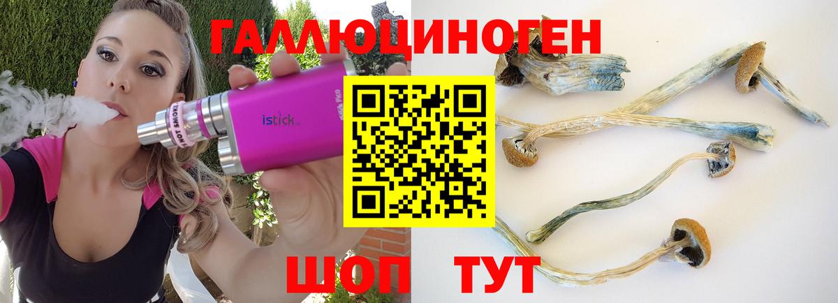 Галлюциногенные грибы ЛСД  Вход с VPN  Ижевск  Галлюциногенные грибы MAGIC MUSHROOMS 